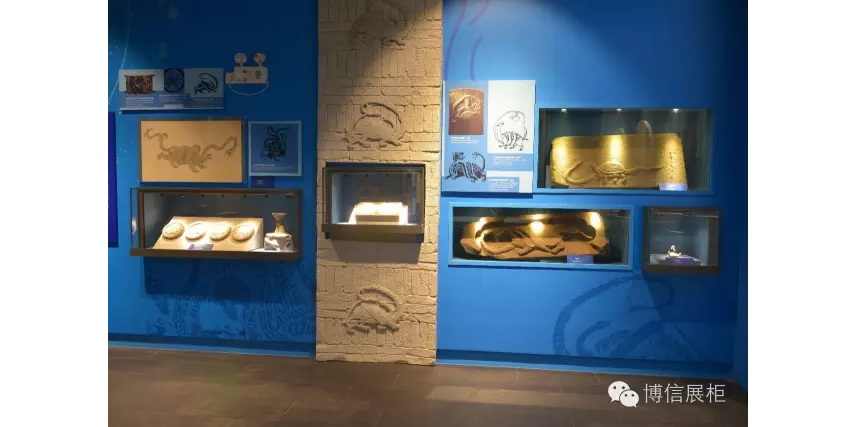 博物館展（zhǎn）櫃