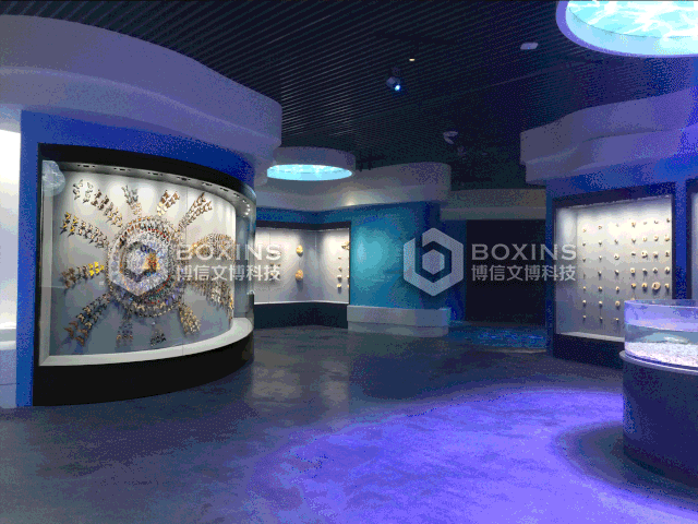 博物（wù）館展櫃