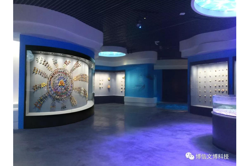 博物館展（zhǎn）櫃