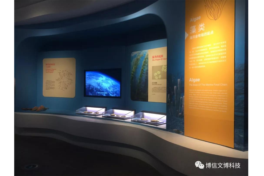 博物館展（zhǎn）櫃