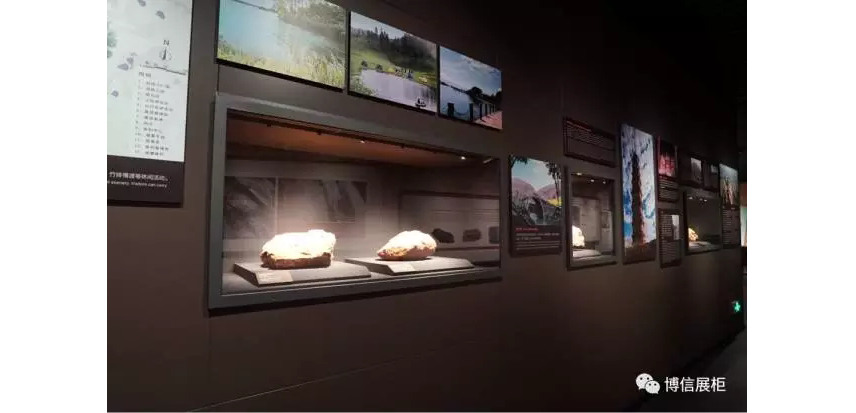 博物館（guǎn）展櫃