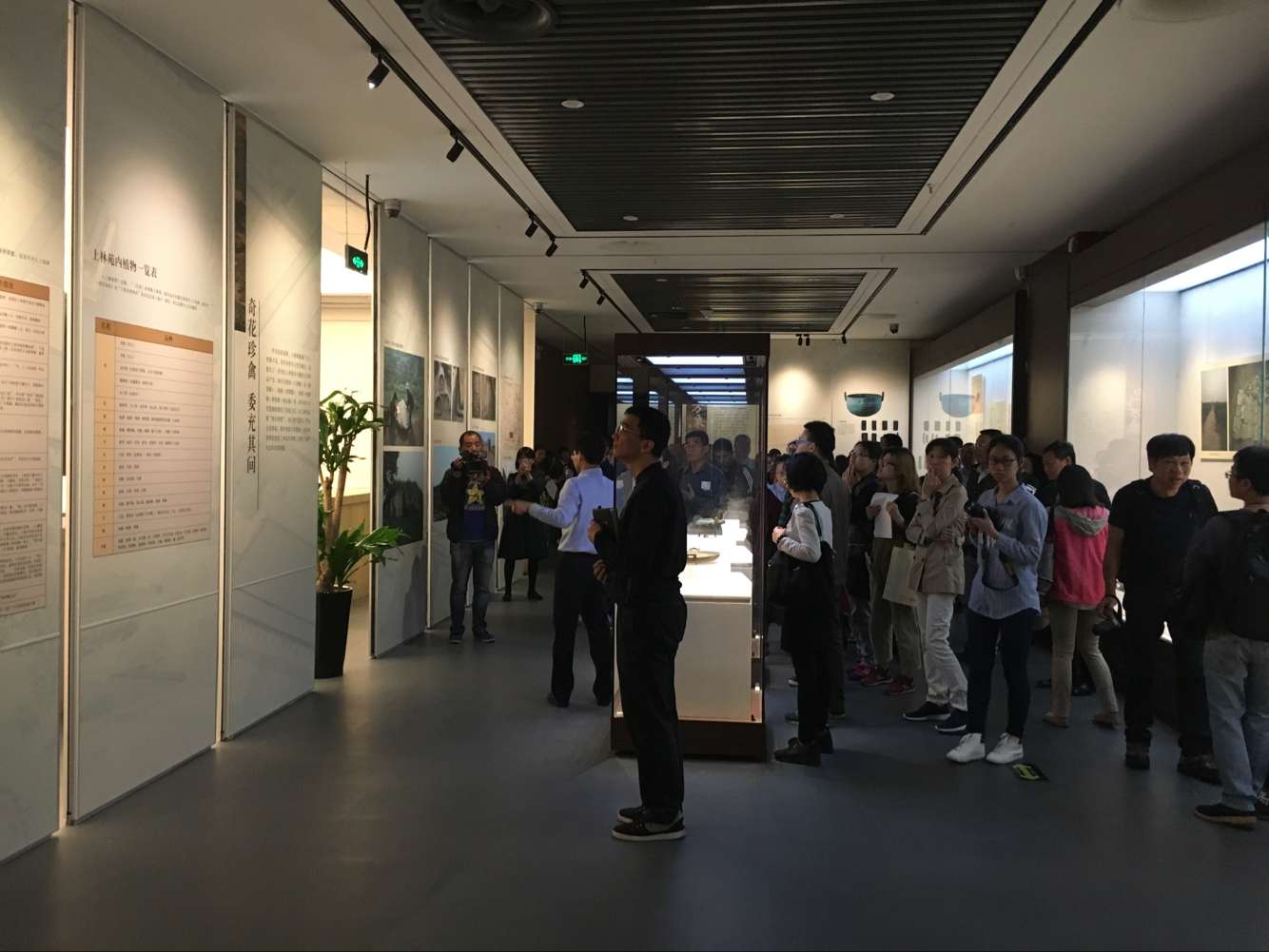 文物（wù）展櫃